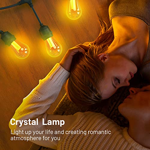 Outdoor Wi-Fi Smart Dimmer Plug and Smart String Dimmable Lights Combo - Image 7